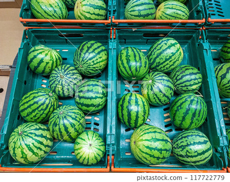 Miniature Watermelons 117722779