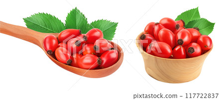 Rose hip in wooden spoon and bowl isolated on a white background with full depth of field 117722837