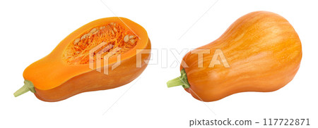 butternut squash half isolated on white background with full depth of field butternut squash half isolated on white background with full depth of field 117722871