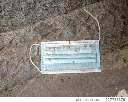 Discarded Medical Mask Discarded Medical Mask 117722876