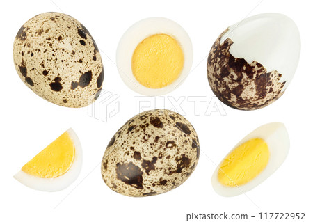 boiled quail egg isolated on white background with full depth of field. Top view. Flat lay boiled quail egg isolated on white background with full depth of field. Top view. Flat lay 117722952