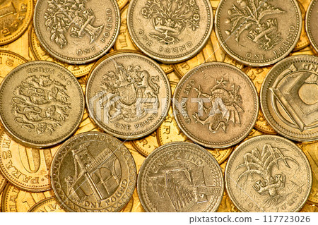 One pound 117723026