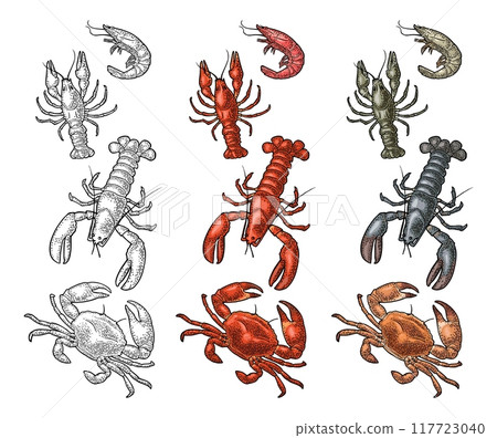 Set sea animal crustacean. Lobster, crab, crawfish, shrimp. Vector engraving Set sea animal crustacean. Lobster, crab, crawfish, shrimp. Vector engraving 117723040