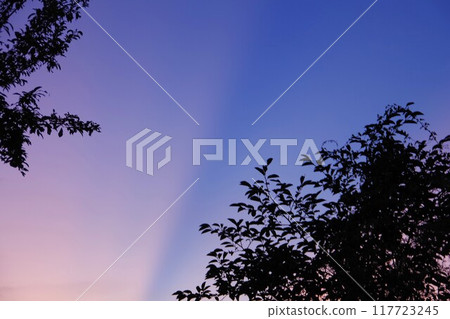 雙色的天空 雙色的天空 117723245