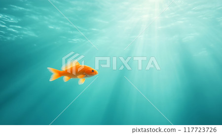 A goldfish swimming gracefully in clear water 117723726