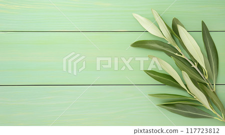 Olive leaves on light green wooden background with copy space 117723812