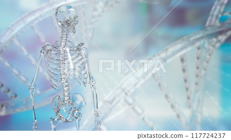 The crystal skeleton for medical or health concept 3d rendering. The crystal skeleton for medical or health concept 3d rendering. 117724237