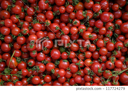  櫻桃西紅柿 117724279