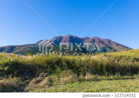 久住高原的潘帕斯草和藍天(大分縣武田市久住高原) 久住高原的潘帕斯草和藍天(大分縣武田市久住高原) 117724532