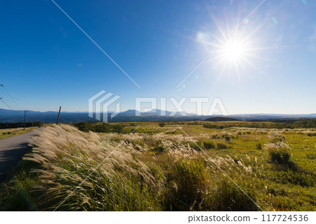 The five peaks of Mount Aso and silver grass at dusk (Kuju Plateau, Taketa City, Oita Prefecture) The five peaks of Mount Aso and silver grass at dusk (Kuju Plateau, Taketa City, Oita Prefecture) 117724536