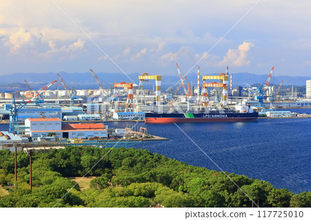 [Kagawa Prefecture] Kawasaki Heavy Industries' Sakaide Factory (Bannoshu Industrial Area) as seen from Mount Shodouji 117725010