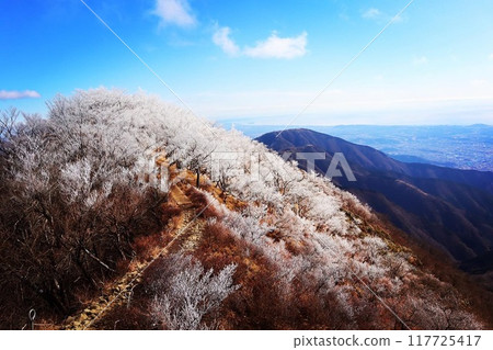 塔野岳的霜 塔野岳的霜 117725417
