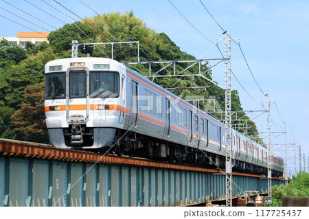 [JR Central] 313 series 300s + 315 series 3000s (Tokaido Line: Yui - Okitsu, Okitsugawa Bridge) 117725437