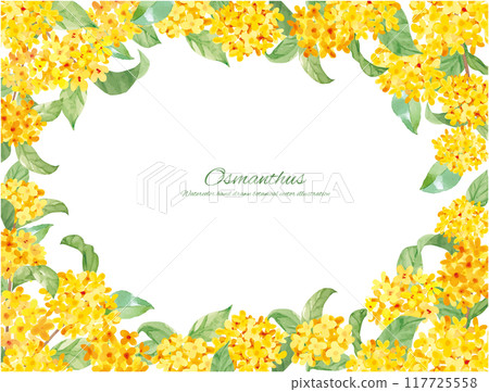 水彩畫桂花向量插畫裝飾材料 117725558