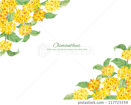 水彩畫桂花向量插畫裝飾材料 117725559