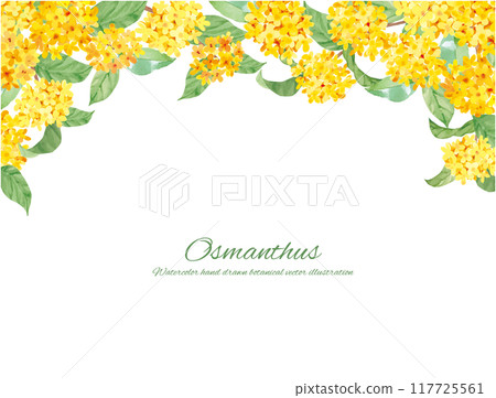 水彩畫桂花向量插畫裝飾材料 117725561