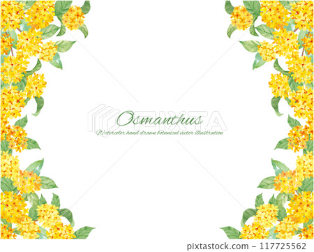 水彩畫桂花向量插畫裝飾材料 117725562