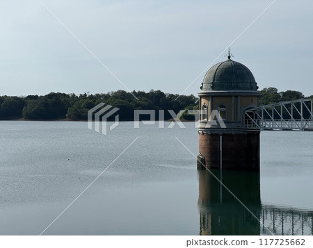 多摩湖村山水庫池塘 117725662