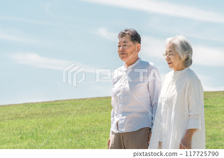 Senior / elderly couple walking in the park (smile) 117725790