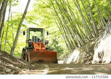 工作在森林道路上的輪式裝載機 工作在森林道路上的輪式裝載機 117725986