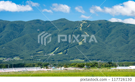 Summer in Fujimi Town: Fujimi Panorama Resort and Mount Nyukasa, Fujimi Town, Nagano Prefecture, Japan 117726130