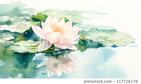 美麗的淡粉紅色睡蓮花水彩插圖背景 117726178