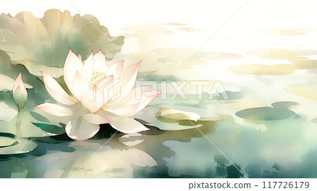 美麗的淡粉紅色睡蓮花水彩插圖背景 117726179