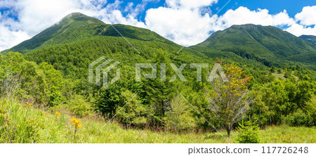 Spectacular views of Yatsugatake Mountains, Nagano Prefecture, Japan 117726248