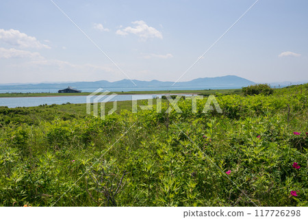 View of Lake Saroma Wakka Primeval Flower Garden from the cycling road 117726298