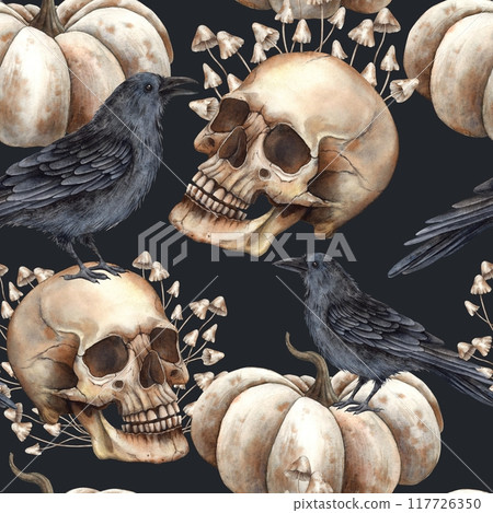 Human skull, black raven, poisonous mushrooms, white pumpkin. Watercolor pattern on a black background in Gothic style. Suitable for Halloween and Day of the Dead design, textiles, packaging Human skull, black raven, poisonous mushrooms, white pumpkin. Watercolor pattern on a black background in Gothic style. Suitable for Halloween and Day of the Dead design, textiles, packaging 117726350