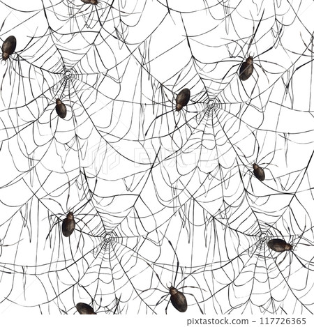 Fine lacy black web and realistic spiders. Hand-drawn watercolor pattern on a white background in Gothic style. Suitable for Halloween and Day of the Dead design, textiles, packaging, cards, posters. 117726365