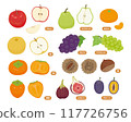 Autumn fruit illustration set 117726756