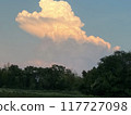 Cumulonimbus clouds appearing on a summer evening 117727098