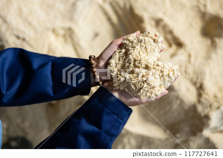 Handful of soy flour for feeding livestock in female hands 117727641