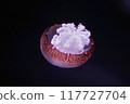 Floating jellyfish 117727704