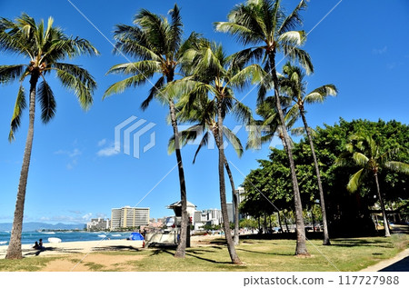夏威夷的假期 夏威夷的假期 117727988