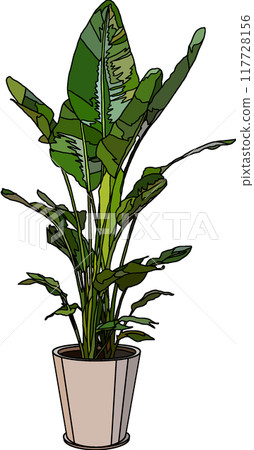 Houseplant illustration, transparent background 117728156
