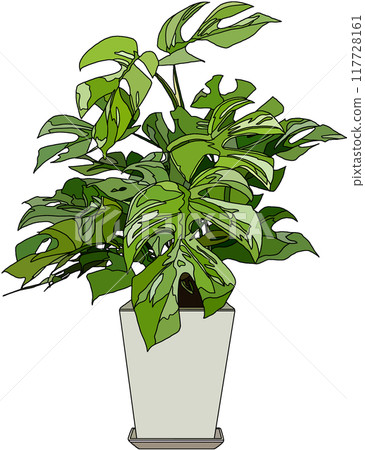 室內植物插圖，透明背景 117728161