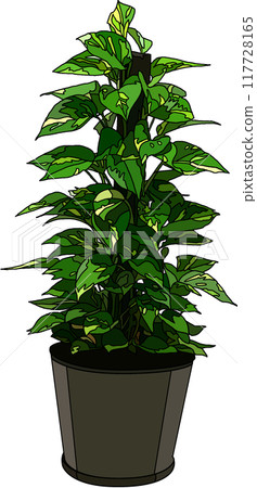 室內植物插圖，透明背景 117728165