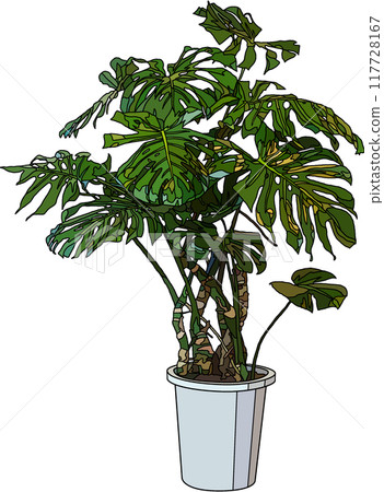 室內植物插圖，透明背景 117728167