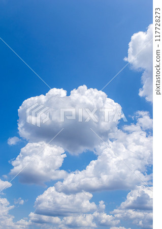 夏天的藍天白雲 夏天的藍天白雲 117728273