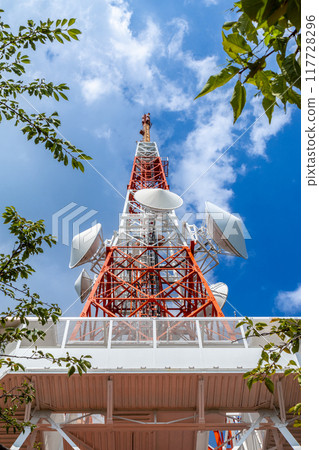 TV tower in a park (Hiratsuka, Kanagawa Prefecture) 117728296