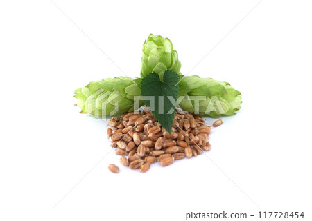 Fresh green hops cones with a leaf and wheat grains isolated on white background 117728454