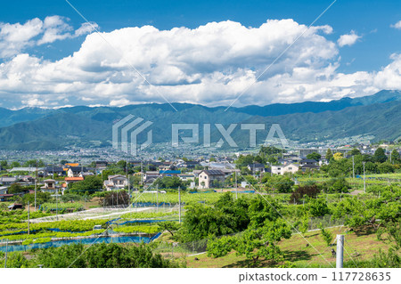 <<Yamanashi Prefecture>> The tranquil streets of the Kofu Basin in early summer 117728635