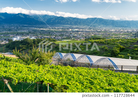 <<Yamanashi Prefecture>> The tranquil streets of the Kofu Basin in early summer 117728644