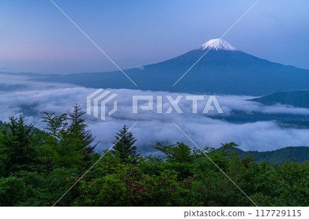 [Yamanashi Prefecture] Mt. Fuji and the Great Sea of Clouds - Shindo Pass in Early Summer 117729115