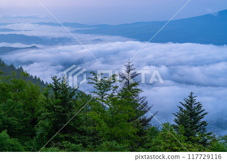 [Yamanashi Prefecture] Mt. Fuji and the Great Sea of Clouds - Shindo Pass in Early Summer 117729116