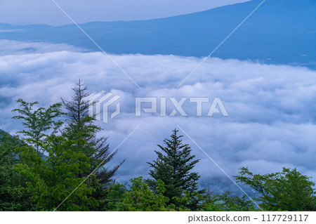 [Yamanashi Prefecture] Mt. Fuji and the Great Sea of Clouds - Shindo Pass in Early Summer 117729117