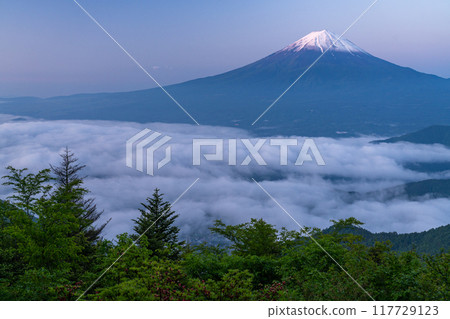 【山梨縣】初夏的富士山和大片雲海、新道峠 117729123