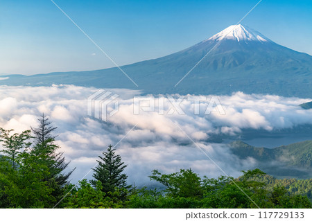 【山梨縣】初夏的富士山和大片雲海、新道峠 【山梨縣】初夏的富士山和大片雲海、新道峠 117729133